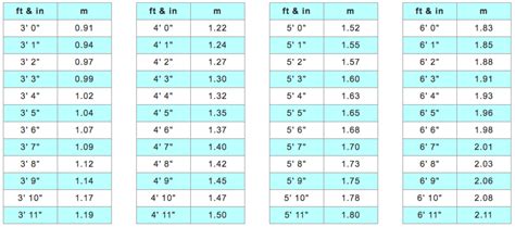 1.60m in feet|1.60 height in feet.